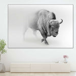 Wild Bison Wall Art