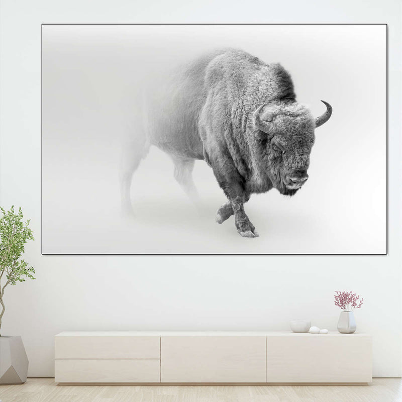 Wild Bison Wall Art