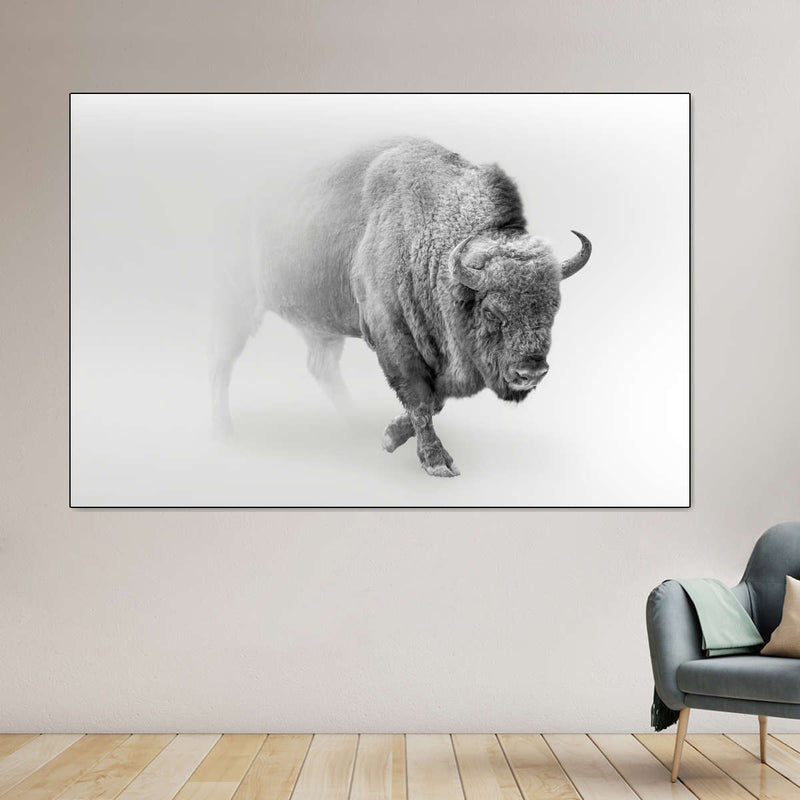 Wild Bison Wall Art