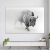 Wild Bison Wall Art