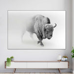 Wild Bison Wall Art