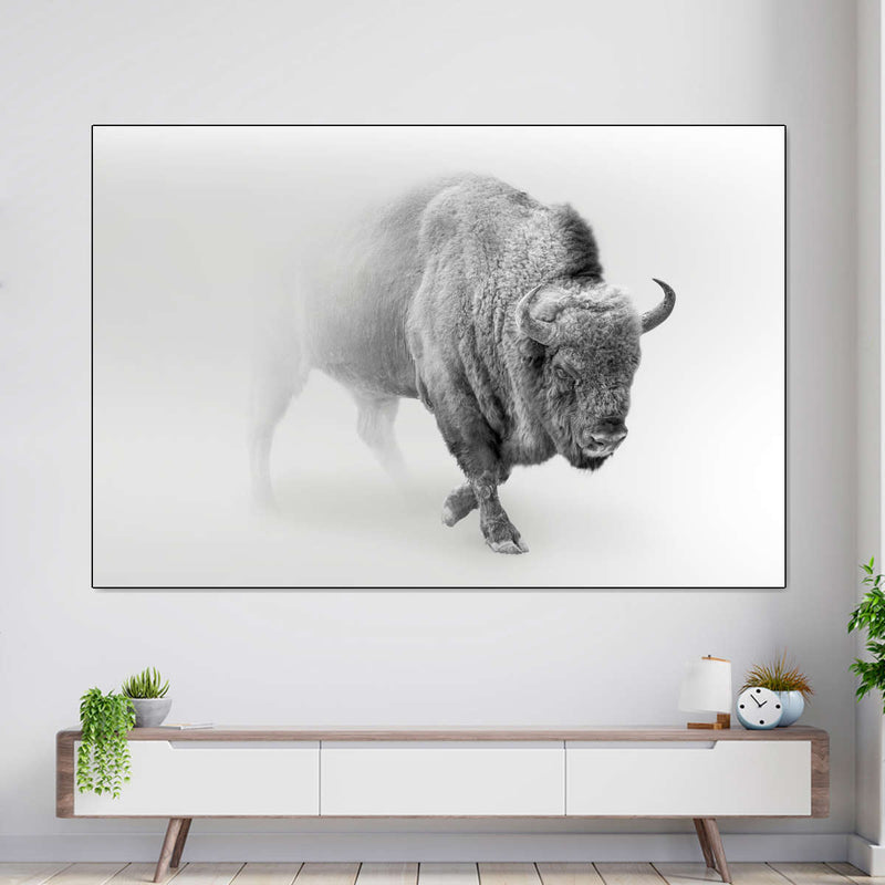 Wild Bison Wall Art