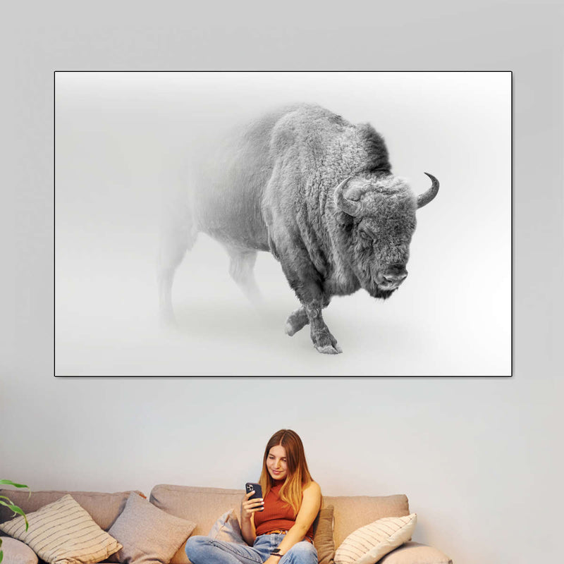 Wild Bison Wall Art