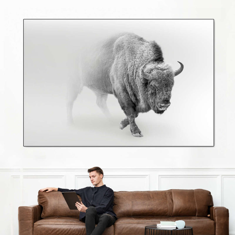 Wild Bison Wall Art