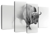 Wild Bison Wall Art