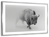 Wild Bison Wall Art