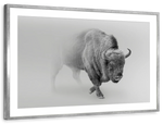 Wild Bison Wall Art