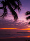 Palm Koh Samui Sunset Wall Art