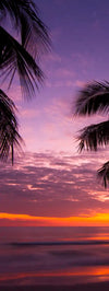 Palm Koh Samui Sunset Wall Art