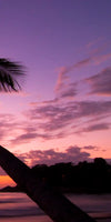 Palm Koh Samui Sunset Wall Art