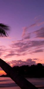 Palm Koh Samui Sunset Wall Art