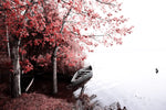 Pateira De Fermentelos Lake Wall Art