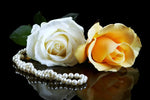 Pearls And Roses Wall Art