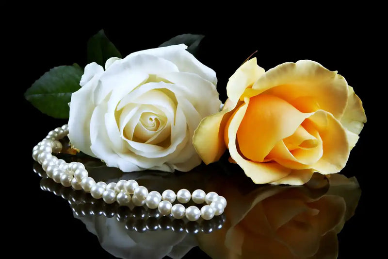 Pearls And Roses Wall Art