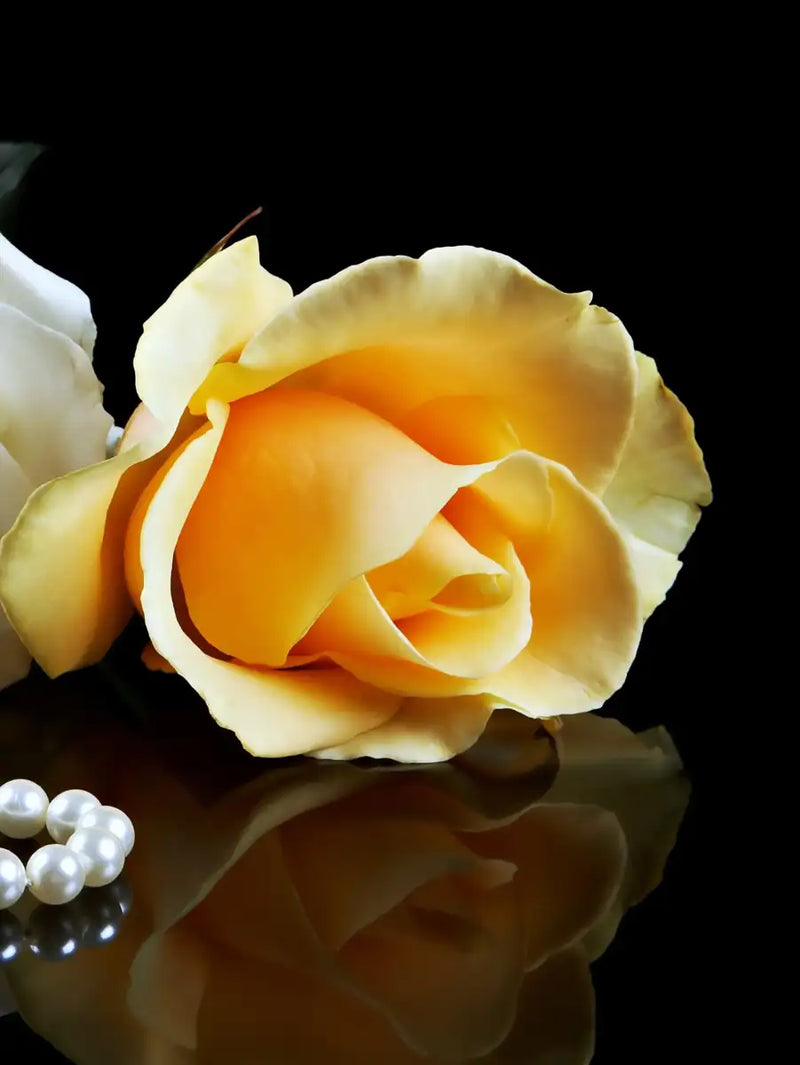 Pearls And Roses Wall Art