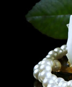 Pearls And Roses Wall Art