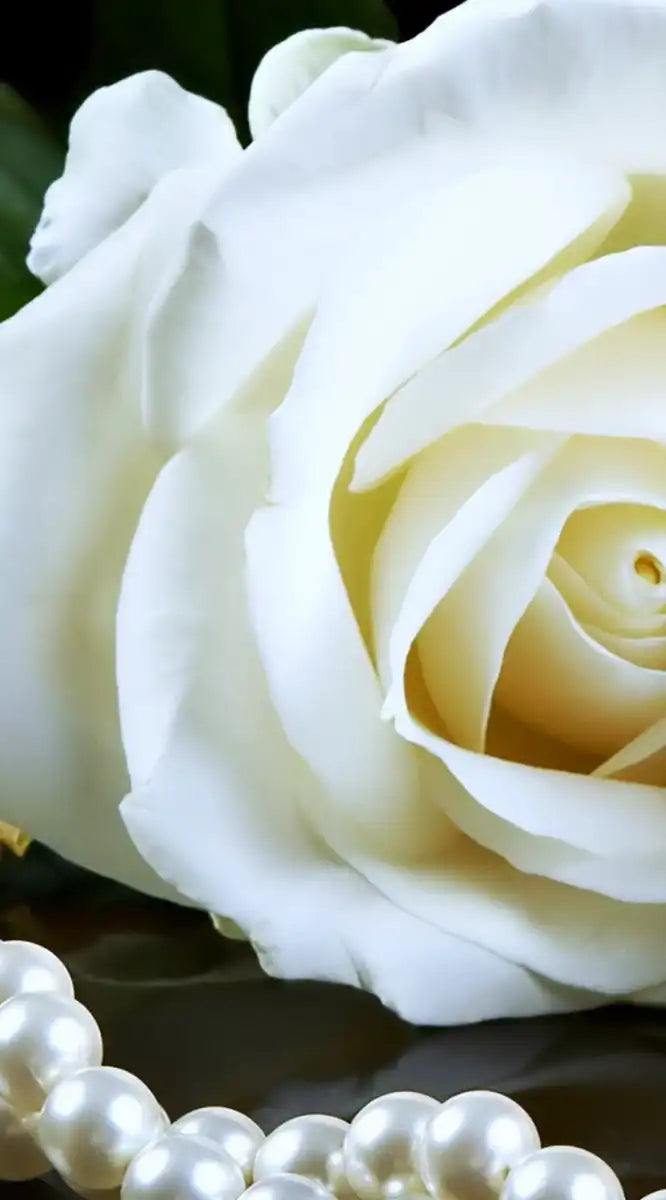 Pearls And Roses Wall Art