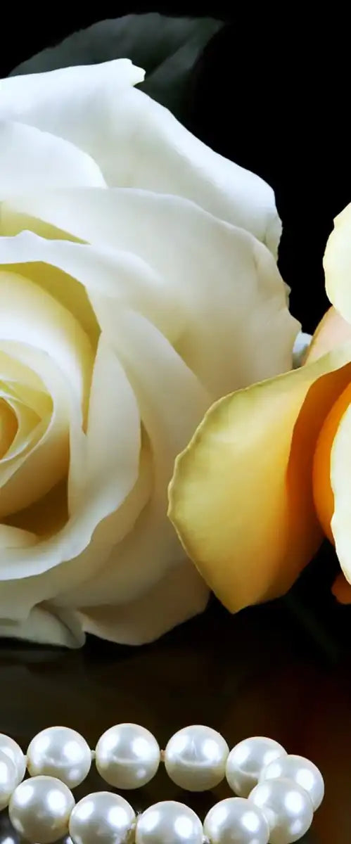 Pearls And Roses Wall Art