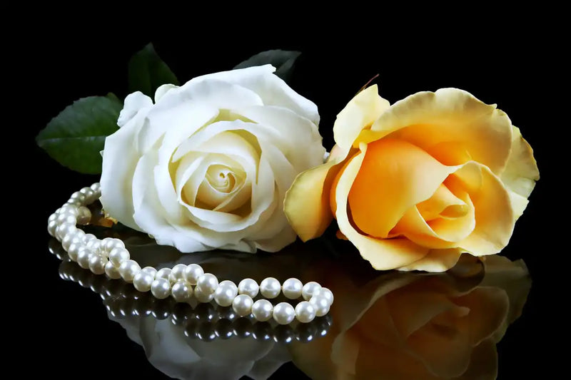 Pearls And Roses Wall Art