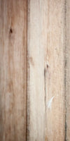 Peeking Owl Wall Art