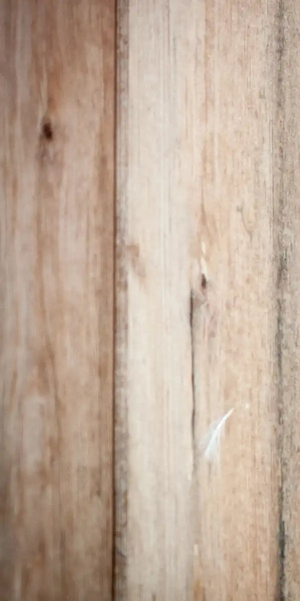 Peeking Owl Wall Art