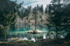 Pine Trees Wall Art