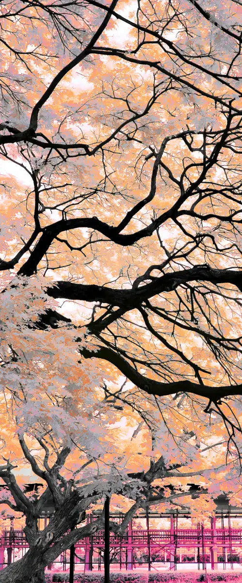 Pink Bloom Claw Trees Wall Art