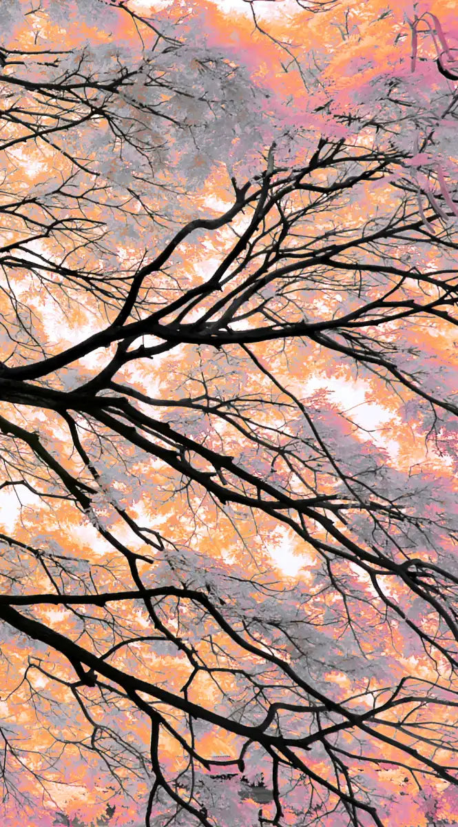 Pink Bloom Claw Trees Wall Art