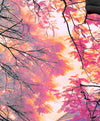 Pink Bloom Claw Trees Wall Art