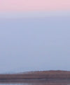 Pink Sky Over Ducks Wall Art