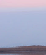 Pink Sky Over Ducks Wall Art