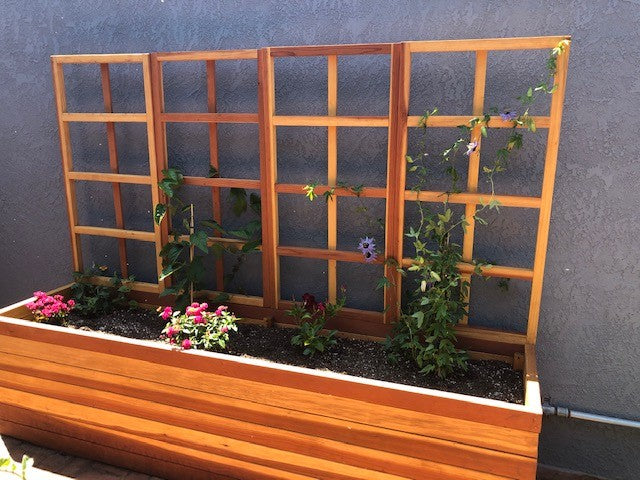 San Laura's Redwood Planter Box with Trellis