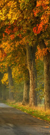 Polish Autumn Road Wall Art