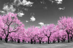 Pop Pink Forest Wall Art