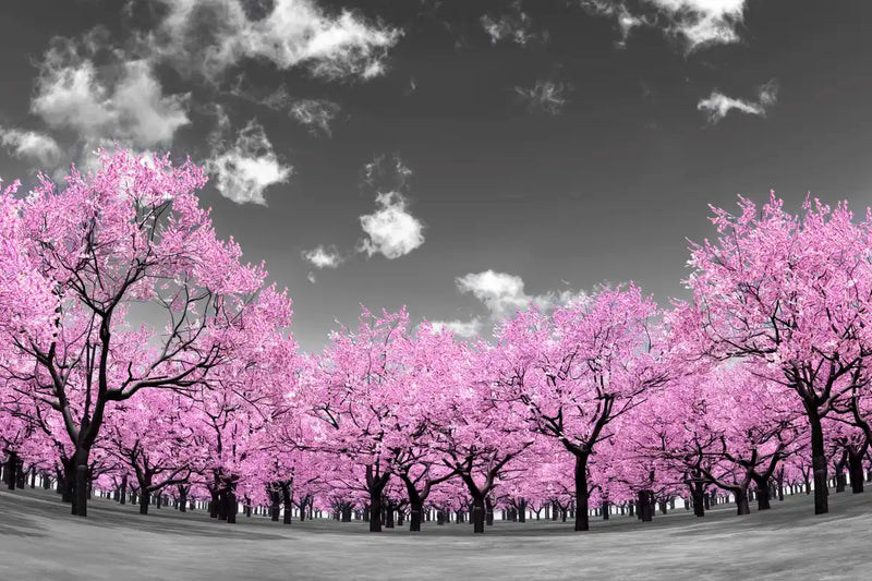 Pop Pink Forest Wall Art