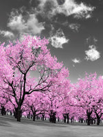 Pop Pink Forest Wall Art