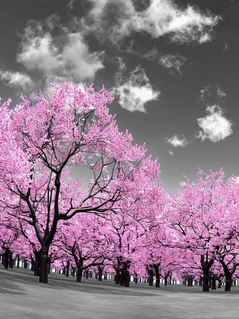 Pop Pink Forest Wall Art
