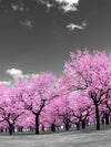 Pop Pink Forest Wall Art