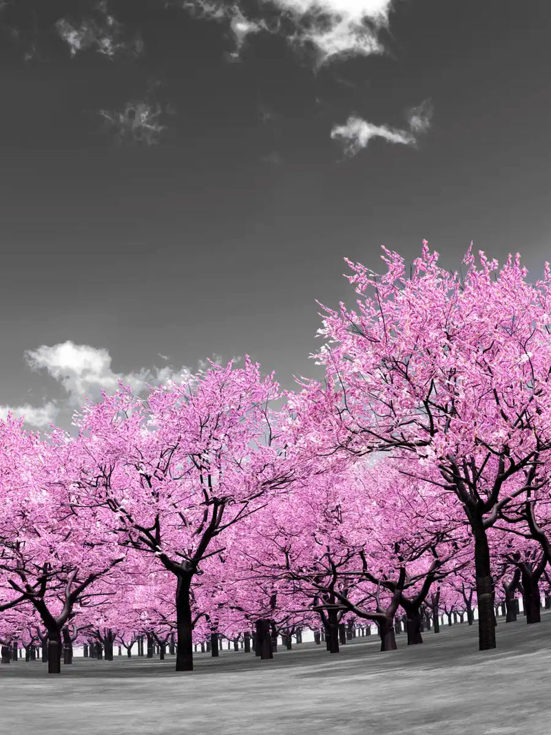 Pop Pink Forest Wall Art