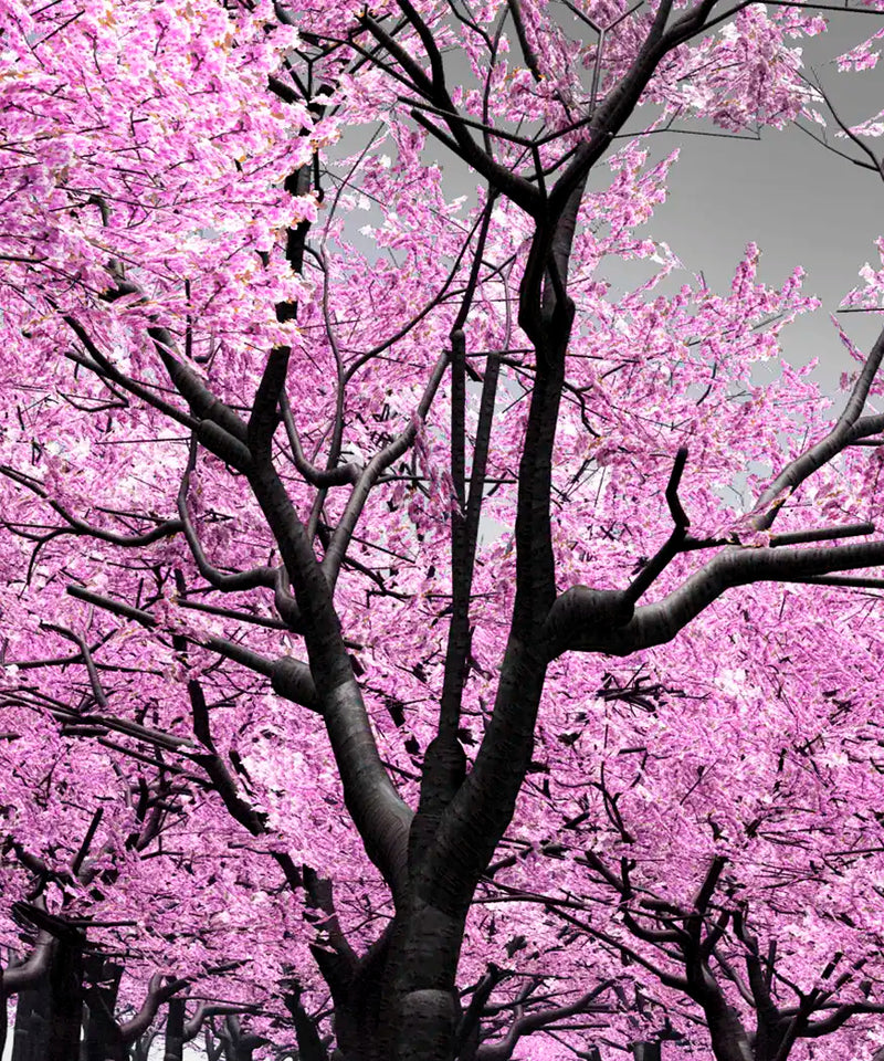 Pop Pink Forest Wall Art