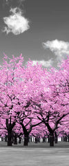 Pop Pink Forest Wall Art
