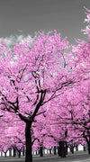 Pop Pink Forest Wall Art