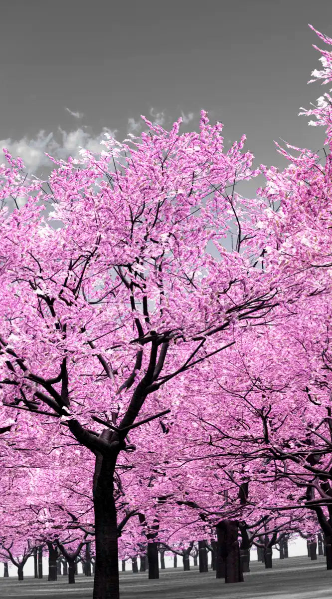 Pop Pink Forest Wall Art