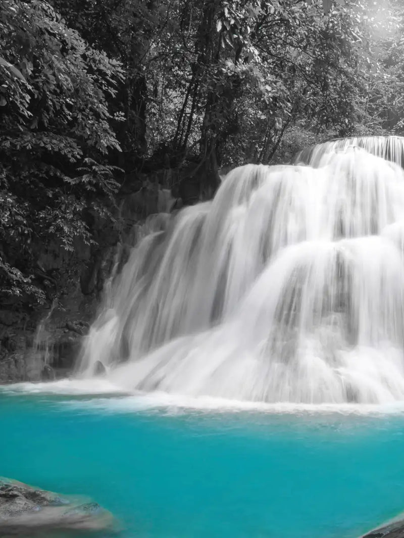 Pop Rainforest Waterfall Wall Art
