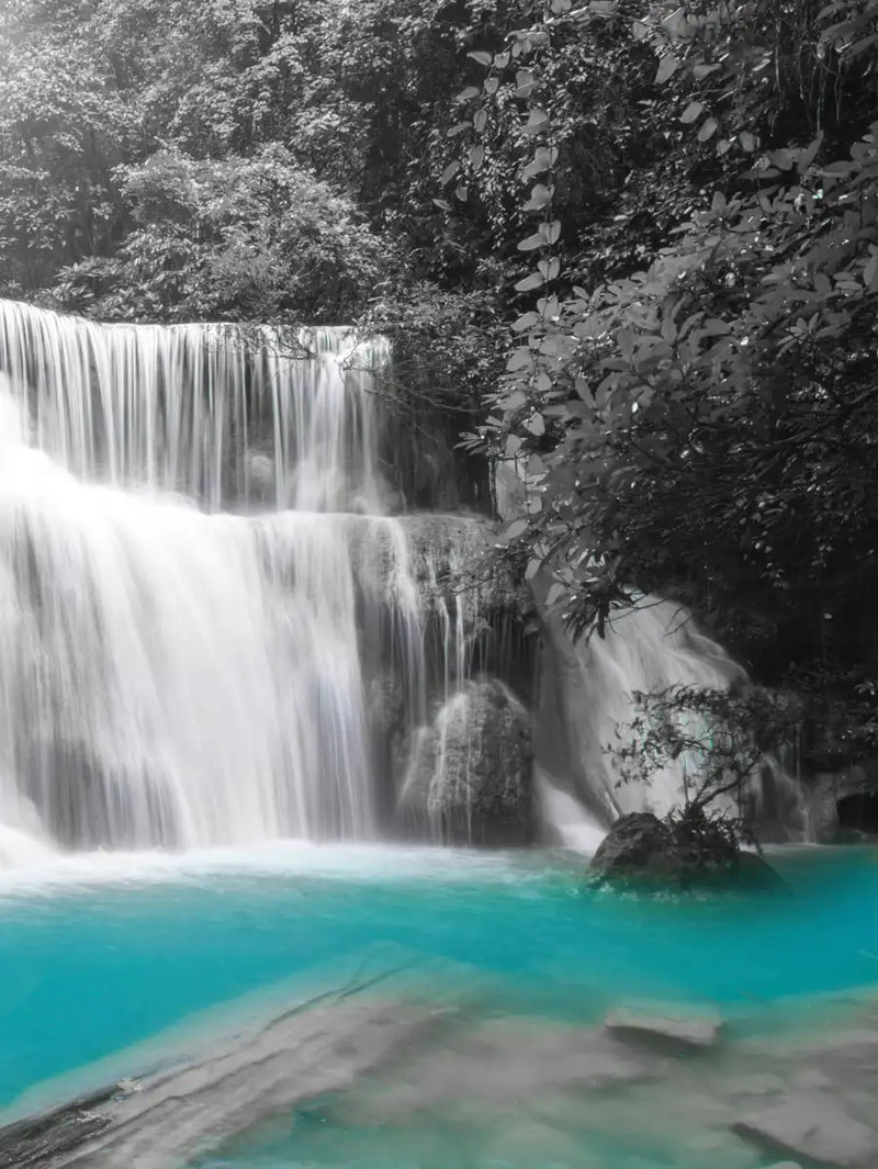 Pop Rainforest Waterfall Wall Art
