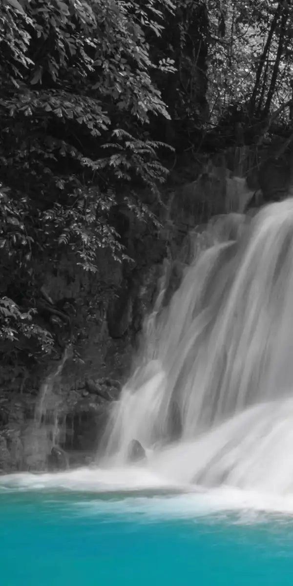 Pop Rainforest Waterfall Wall Art