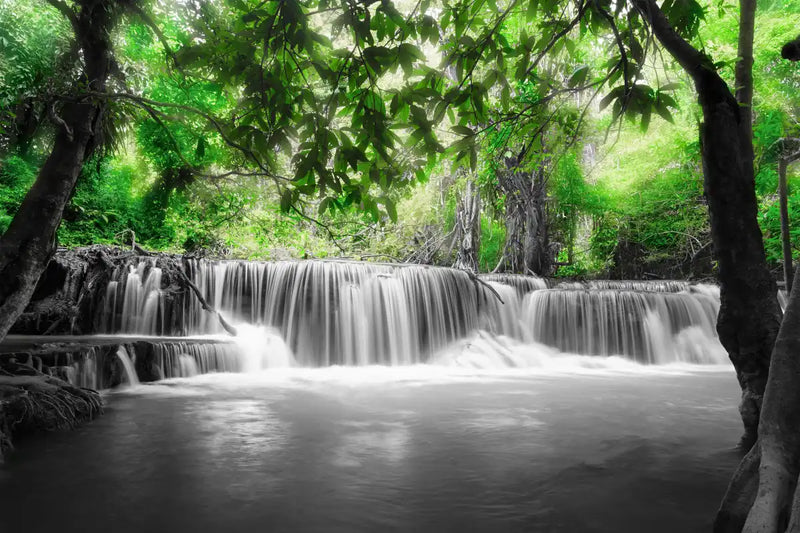 Pop Tropical Waterfall Wall Art