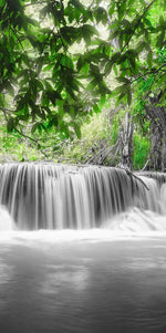 Pop Tropical Waterfall Wall Art