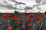 Poppy Field At Dusk Pop Wall Art