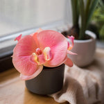 Artificial Flower Mini Real Touch Orchid in Pot Pink